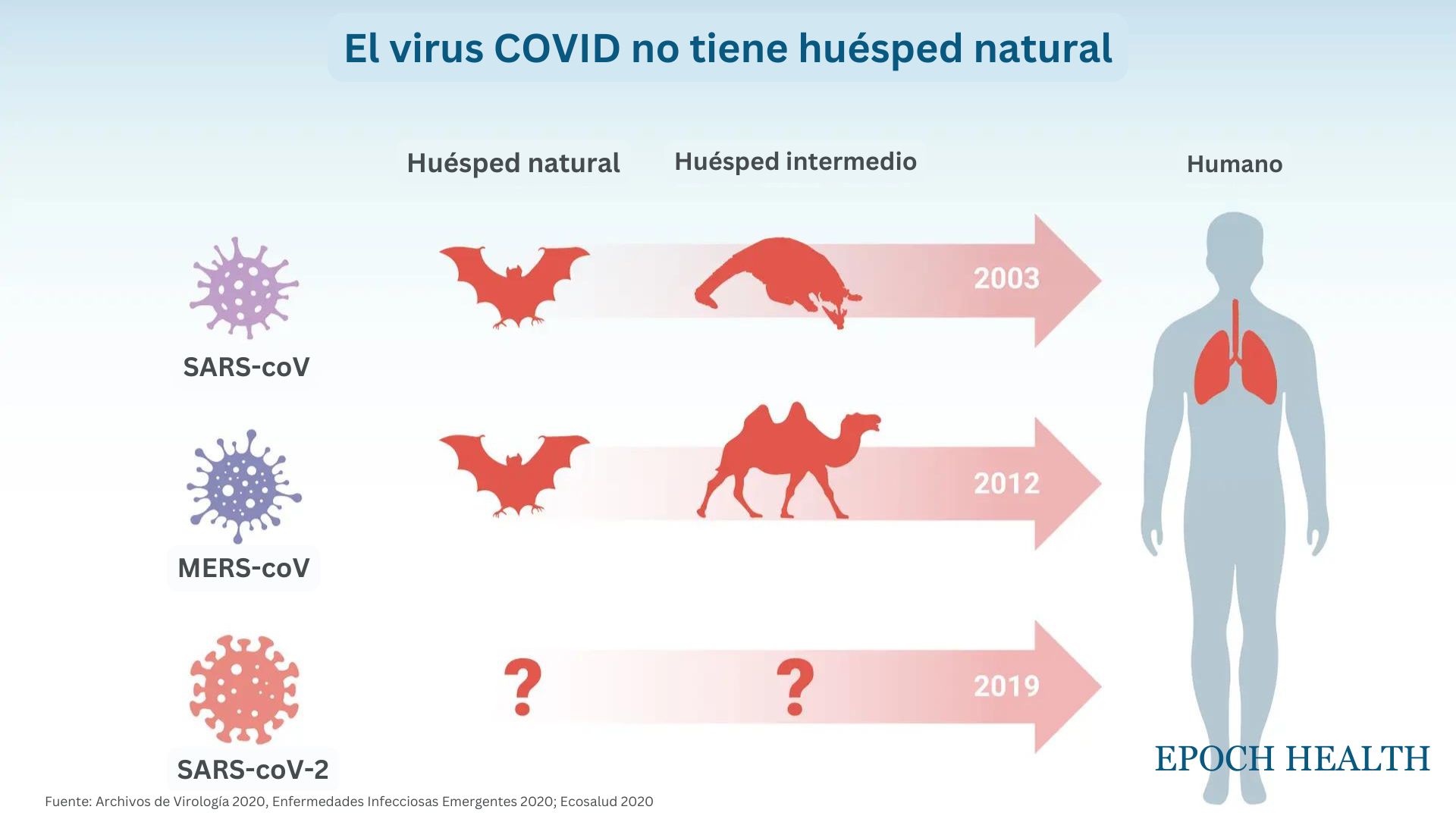 Opinión de Salud: El origen de COVID más allá de las teorías naturales y de laboratorio