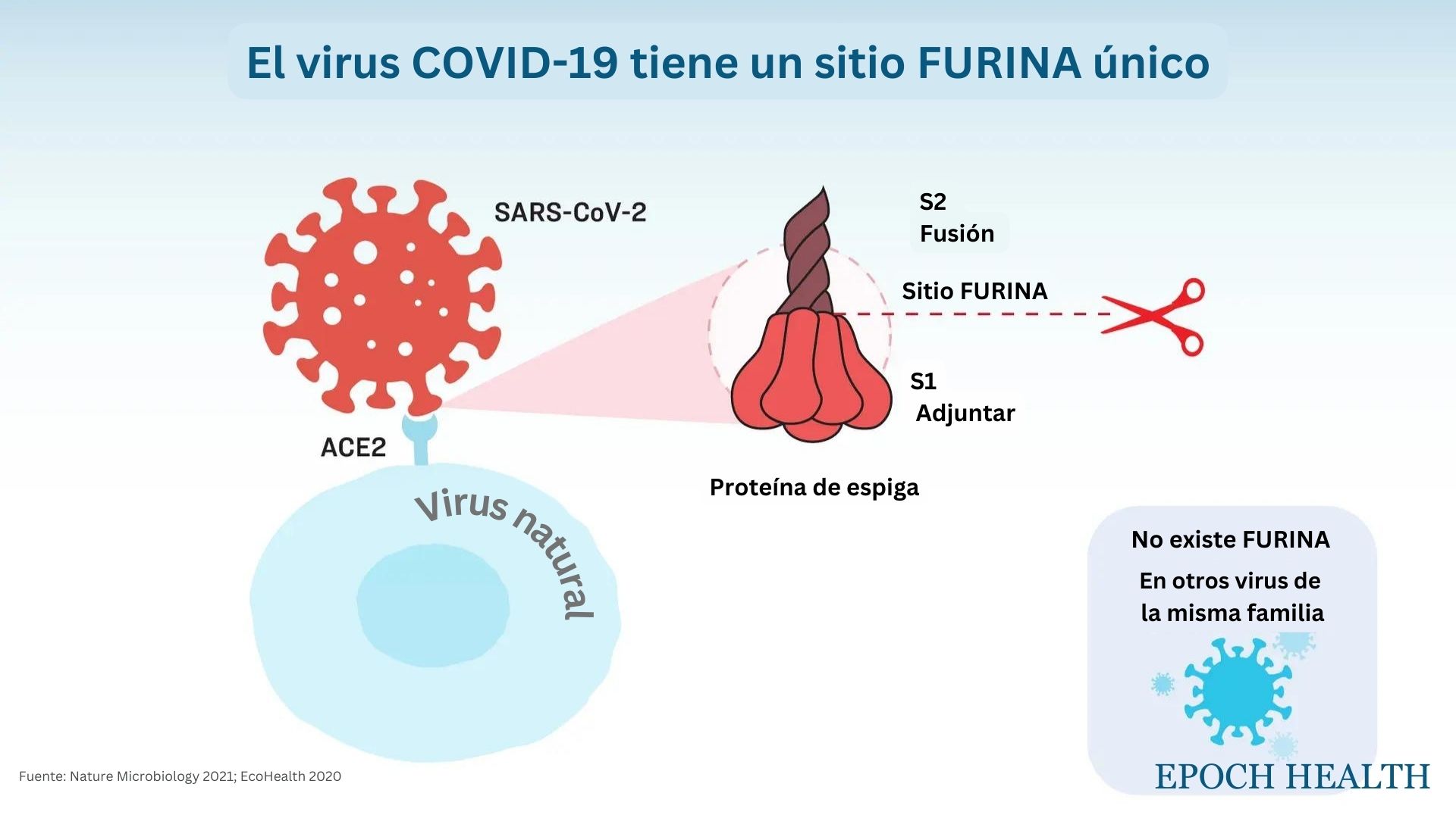 Opinión de Salud: El origen de COVID más allá de las teorías naturales y de laboratorio
